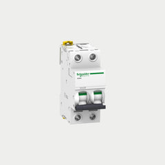 Schneider iC60N 2 Pole Miniature Circuit Breaker 6 KA - 10 kA